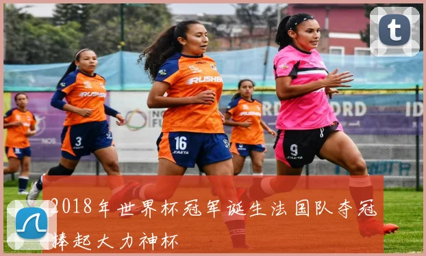 2018年世界杯冠军诞生法国队夺冠捧起大力神杯