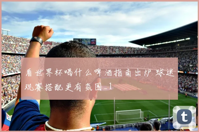 看世界杯喝什么啤酒指南出炉 球迷观赛搭配更有氛围_1