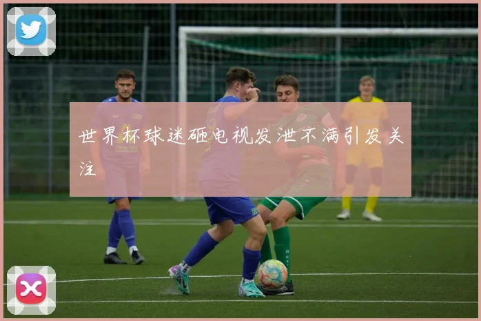 世界杯球迷砸电视发泄不满引发关注