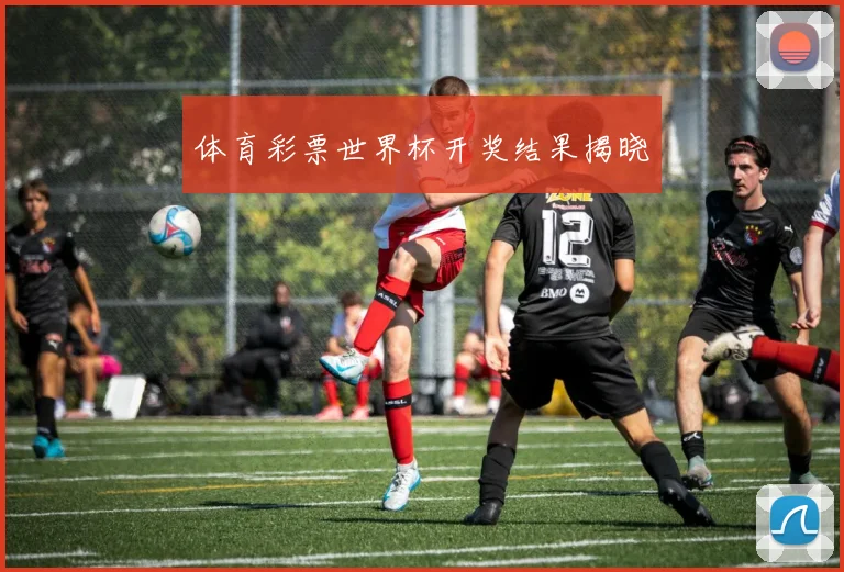 体育彩票世界杯开奖结果揭晓
