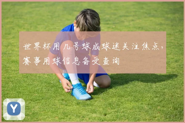 世界杯用几号球成球迷关注焦点,赛事用球信息备受查询