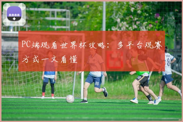 PC端观看世界杯攻略:多平台观赛方式一文看懂