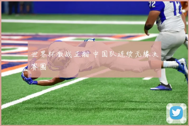 世界杯激战正酣 中国队连续无缘决赛圈