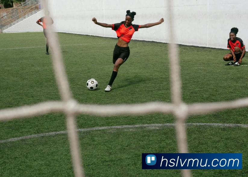 世界杯官网登录app发展历程